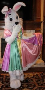 Dallas, Fort Worth Mrs. Easter Bunny for rent