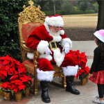 DFW Top Real Beard Santa