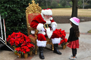 DFW Top Real Beard Santa