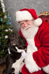Highland Park Dallas Santa Claus for Hire