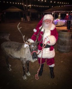 Santa and Reindeer Rental in Dallas Fort Worth
