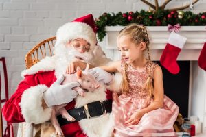 Santa Claus for Your Small Business